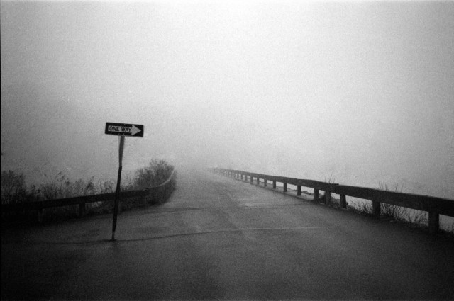 A One Way sign points to the right, and the road disappears into the fog.