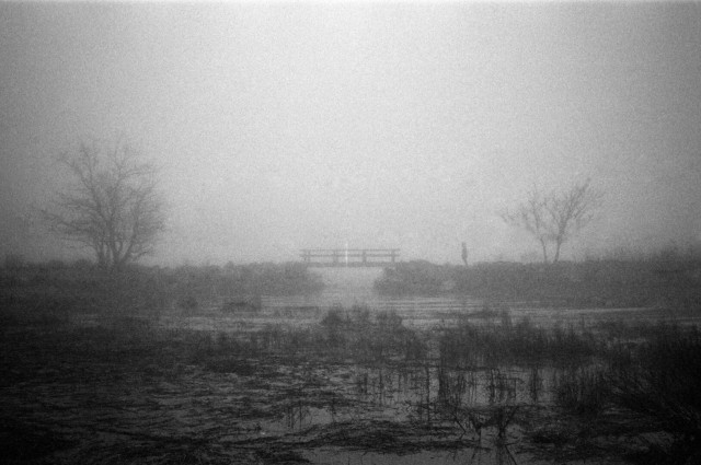 In a heavy coastal fog, a pedestrian approaches bridge over a tidal pond.
