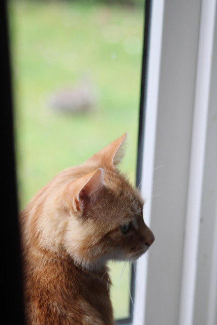 Washy looking at us, do you see it?!