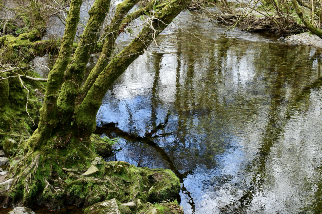Reflections in the River Walkam at Magpie bridge 