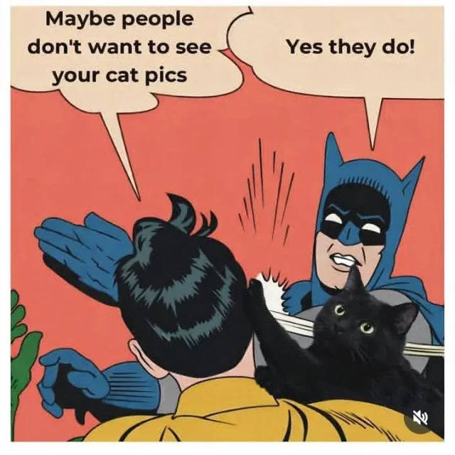 batman slapping robin meme:
robin: maybe people don't want to see your cat pics
batman: yes they do
Also, a black cat is slapping robin