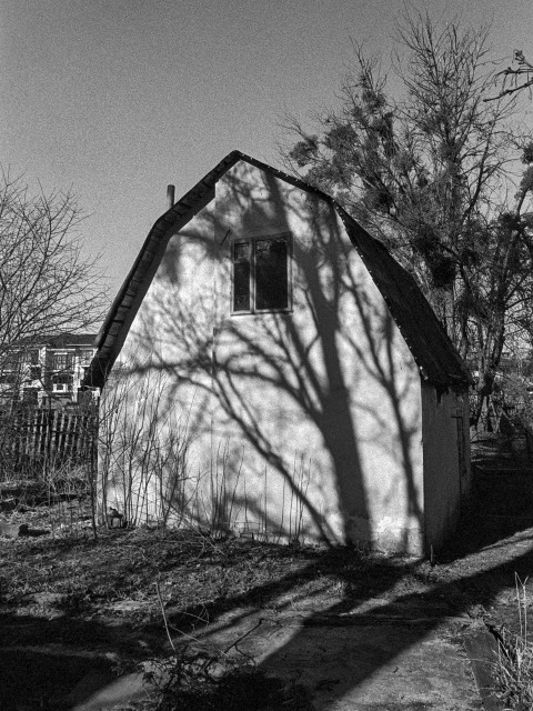 A small, simple house with a steep, triangular roof stands in a quiet yard. The scene is rendered in high-contrast black and white, emphasizing the rough texture of the walls and the grainy sky. Bare tree branches cast long, intricate shadows across the facade, stretching from the ground up toward a single window near the top.

The light is low and directional, creating sharp silhouettes and a slightly eerie atmosphere. Surrounding the house are leafless trees and sparse vegetation, suggesting late winter or early spring.