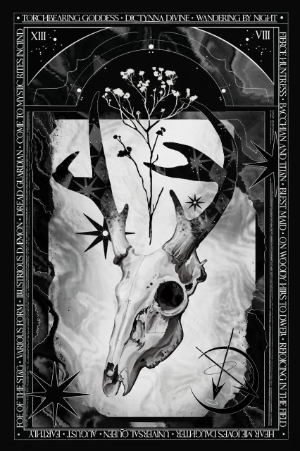 Altar prayer card for the goddess Diana. A rectangular card has a black border with parts of the Orphic hymn for Diana surrounding it as a border in white text. In the bottom right are twin arrows over a crescent moon representing her and Apollo. In the bottom left and top right are white outlined 8 point stars. Inside the border is a marble shockwave black and grey pattern with white outlining that forms an arch at the top with lining to look like columns on both sides. In the middle is a stag skull with painted antlers of a diamond and star pattern. Behind the skull are smaller 8 point stars and cloud ripples. Above the skull is a scraggly branch of queen Anne’s lace with small dots above. In the top corners are two constellations for Sirius as her hunting dogs and Roman numerals for 13 and 8 for the date of the Nemoralia festival.
