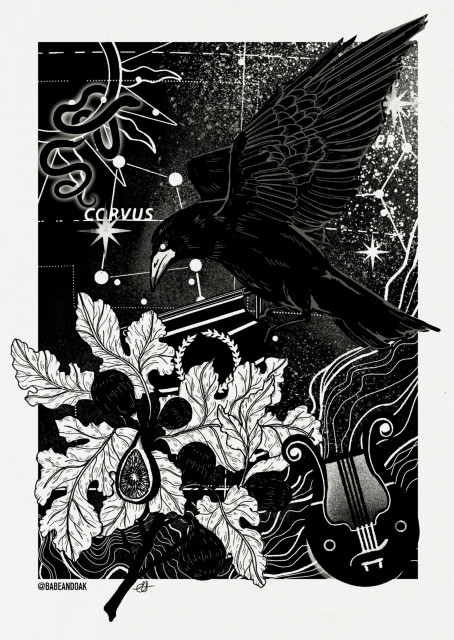 Corvus & Crater - Black and white depicting the myth of Corvus and Crater. The entire background is black with grain shading and a star map showing the constellations Corvus and Crater in the southern sky. In the top left is an outline of a sun representing Apollo with a glowing black water serpent winding in and around it. In the middle sweeping down from the top right is a large crow in profile. In the middle in a double handle crater with Apollo’s laurel leaf on it. In the bottom right is a black lyre and in the bottom left is a large fig tree with one fig cut in half. Behind in the bottom half are swirling white lines representing water.