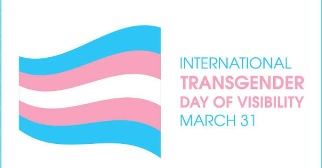 international transgender day of visibility march 31

{trans flag pictures}