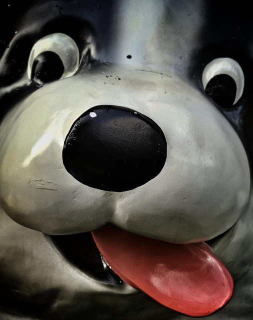 Close-up of a dog mascot's face with tongue protruding.
