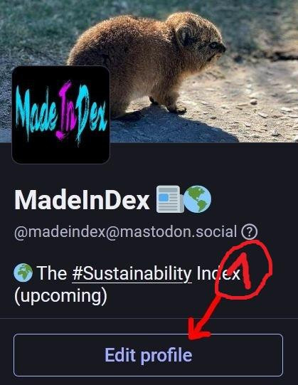 Step 1 "click edit profile" of a visual guide on how to add alt text to the images of a Mastdon profile step by step. A screenshot of the profile @MadeInDex@mastodon.social is used as an example with a red 1 pointing at the edit profile button.