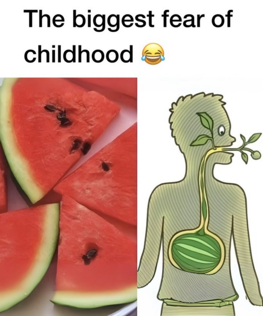 A two-panel image titled "The biggest fear of childhood." On the left is a photo of watermelon slices with black seeds. On the right is an illustrative diagram of a person showing a whole watermelon inside their stomach with a leafy vine growing out of their mouth, representing the childhood myth that swallowing a seed causes a fruit to grow inside you.