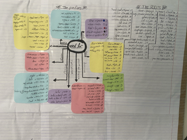 Noor's wall of medical terminology.