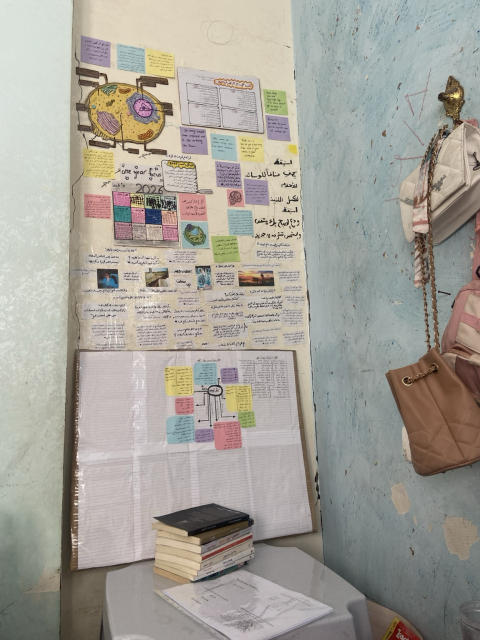 Noor's wall of medical terminology.