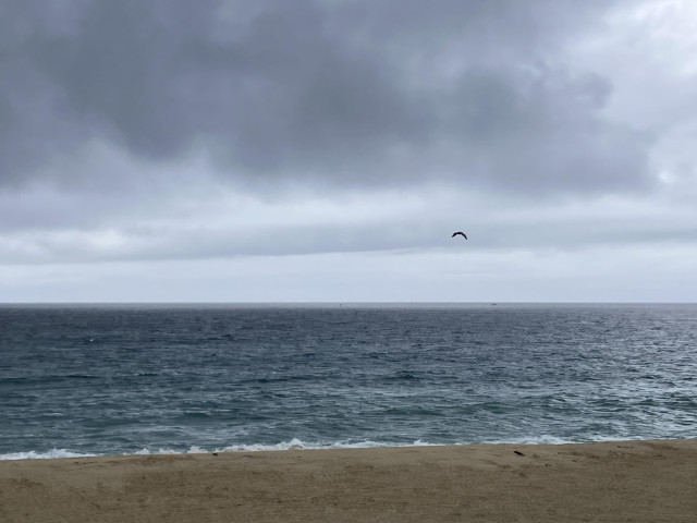 A dark gray-blue Pacific Ocean under skies filled with dark clouds. A lone bird is flying over the ocean. 