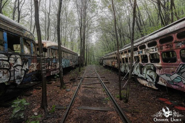Two lines of abandoned, graffiti-covered streetcars rust on overgrown tracks in a desolate forest