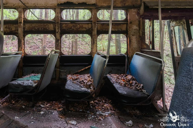 Seats inside streetcars, covered with leaves