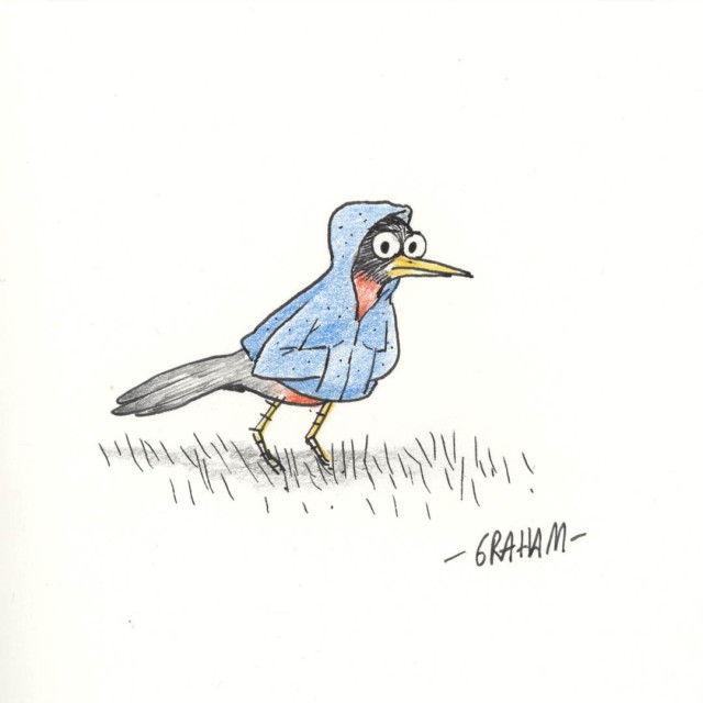 A cartoon illustration of a stern looking robin wearing a blue hoodie.