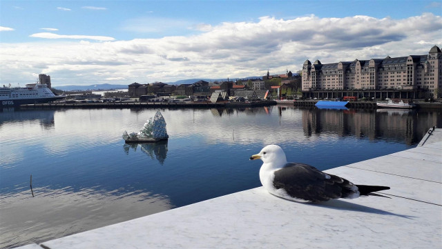 Short version: a seagull looking at Oslo Fjord. Fuller description: Standing on the parapet of Oslo Opera House looking down and across the fjord. The water is calm still cold winter blue, reflecting the cold winter blue sky with white clouds. A sculpture like an iceberg sits in the middle of the empty water. The Oslo-Danmark ferry is berthed on the opposite quay. I am looking at all of this from just behind a fat unmoving beak-closed seagull, who is sitting on the parapet edge just in front of me gazing at the same scene with a fixed cross expression (seagulls always have cross expressions) as if trying to count to 100 after an encounter with somebody stupid.