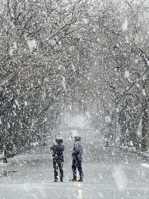 Heavy snow on a tree-lined glasgow street.