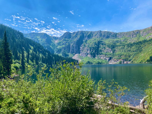 Beyond the green brush, and deadwood, in the foreground, a placid lake reflects the green surrounding it and the blue sky. To the left, a wooded mountain's shoulder reaches the the shore, the conifers a deep green to contrast with the light green grass beneath. In the background, overgrown cliffs plunge to the water's edge. The sky is mostly clear, except for the clouds in the distance. There are black specs in the sky that are eagles.