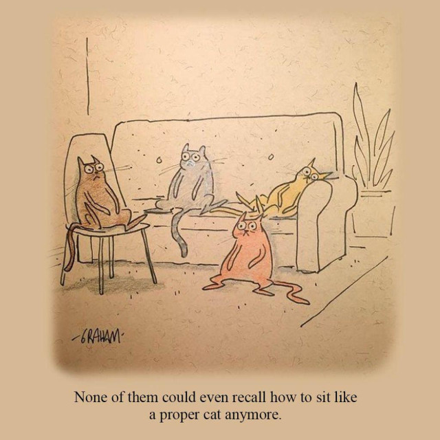 A cartoon illustration of a group of cats all sitting awkwardly on furniture and looking dismayed. Caption reads "None of them could even recall how to sit like a proper cat anymore."
