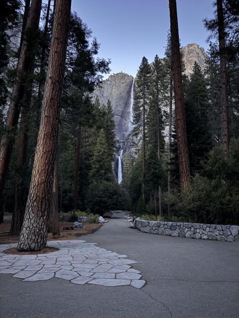 A stunning photo of waterfalls at Yosemite National Park taken from Lower Yosemite Falls Trailhead. We are looking through a grove of tall trees and down a paved walking path at two active stacked waterfalls cascading down the gorgeous granite cliffs at Yosemite. The walking path is lined with short stone walls and the well-kept pathway is inlaid with matching stones around the tree closest to us. It is very picturesque. 