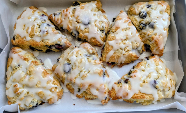 Seven frosted lemon blueberry scones are on parchment paper in a container. 