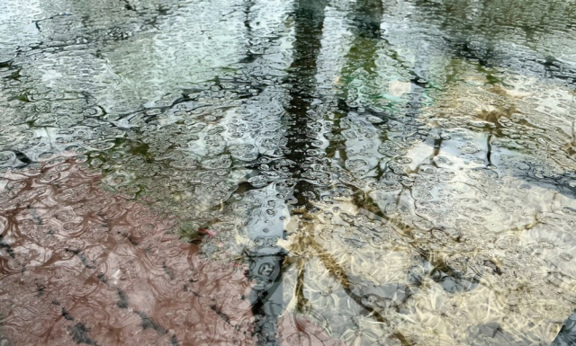 A photo I took last year, another slow spring of the apple crab tree reflected onto a wet glass table.