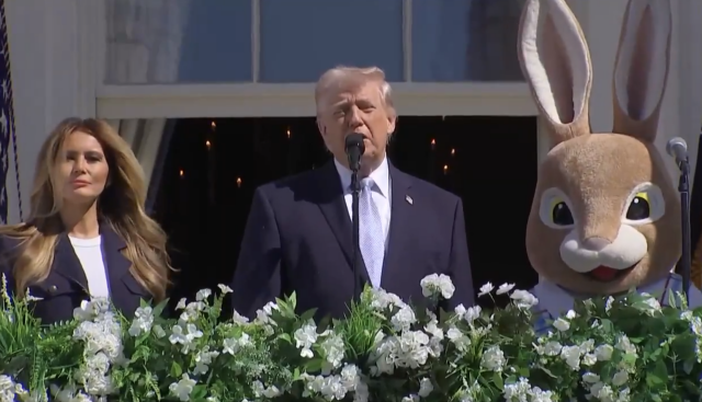 BeBest (left) DICtator Orange (middle) & Vance on the right