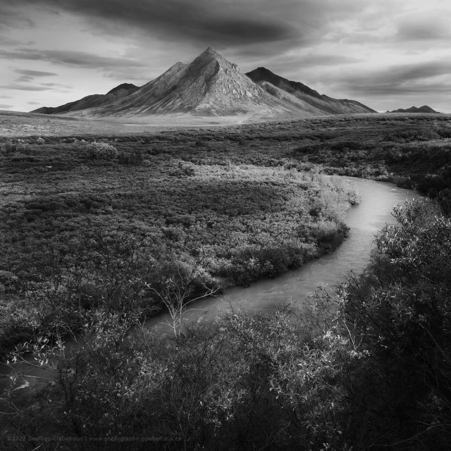 A narrow, gently curving river winds through a dense expanse of low tundra shrubs toward a perfectly symmetrical, cone-shaped mountain rising alone on the horizon under a dramatic, cloud-streaked sky. Rendered in black and white, the sinuous river lead-in, textured shrub vegetation, and the isolated geometric peak combine to create a strongly composed subarctic landscape.