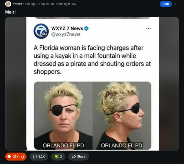 A Florida woman is facing charges after using a kayak in a mall fountain while
dressed as a pirate and shouting orders at shoppers.
