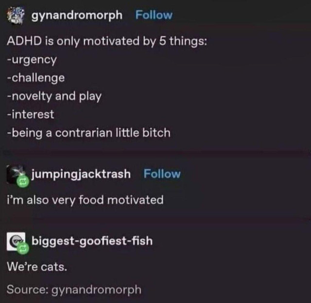 The image contains a social media post discussing ADHD motivation. The first post lists five motivators: urgency, challenge, novelty and play, interest, and being a contrarian little bitch. Subsequent posts add that they are food motivated and are cats.