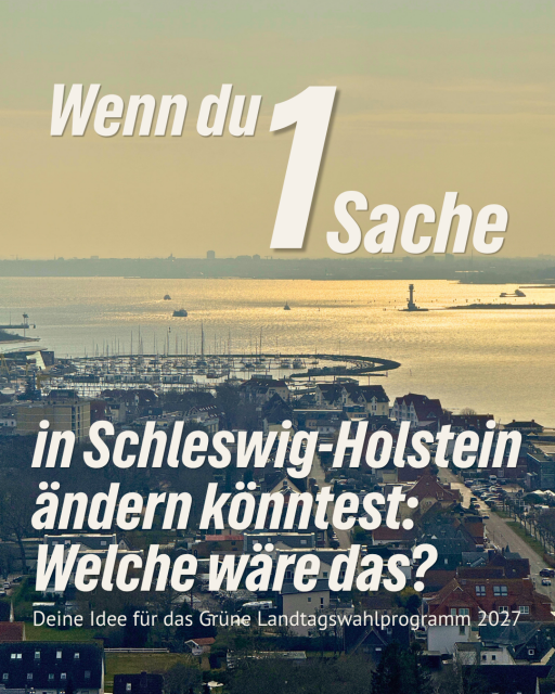 Eine Luftaufnahme voon Laboe aus mit Blick auf die Kieler Förde. Darauf ein Text: "Wenn du eine Sache in Schleswig-Holstein ändern könntest: Welche wäre das? Deine Idee für das Grüne Landtagswahlprogramm 2027"