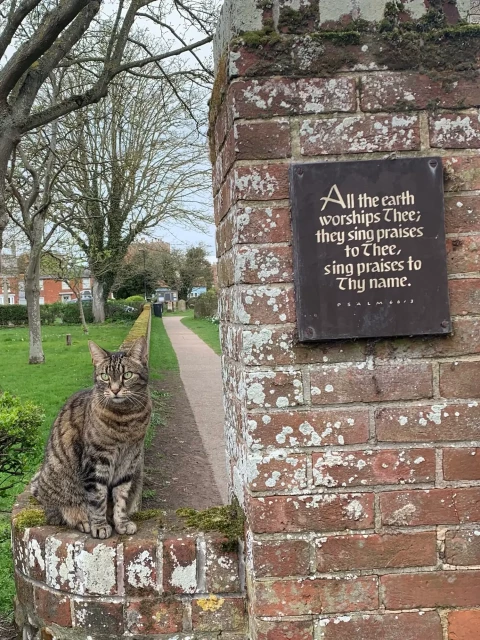 Tabby cat on churchyard wall next to sign with verse, ‘All the earth worships thee, sing praises to thee, praises thy name"
