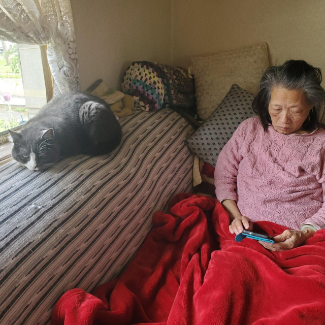 A grey and white cat rests on a striped couch next to my Mom, who is wrapped in a red blanket, looking at a smartphone.