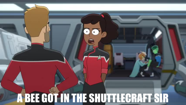 mariner standnig in front of her shuttlecraft which landed hard on the shuttle bay deck tellling ransom "A BEE GOT IN THE SHUTTLECRAFT SIR"