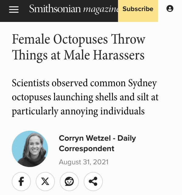 Screenshot of a Smithsonian article saying female octopus throw things at male harassed. Launching shells and silt at particularly annoying individuals 