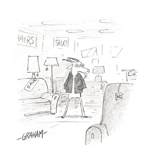 A cartoon illustration of a happy goat wearing a coat standing in a thrift store looking at furniture.