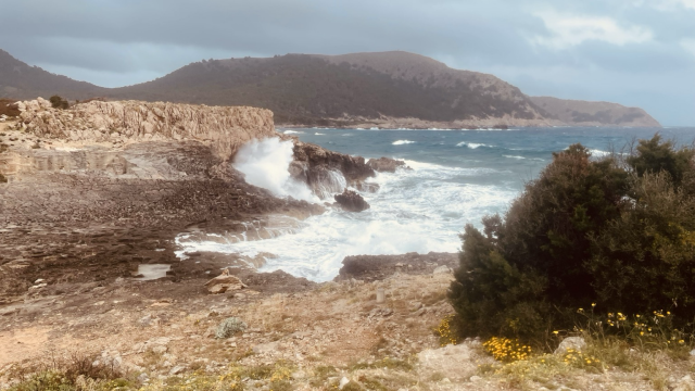 Heute ist es auf Malle etwas windig 😅