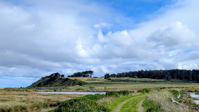 Photo of Table Bluff in Humboldt County California taken from a trail on a dike in a nearby marsh. Cloudy sky. 