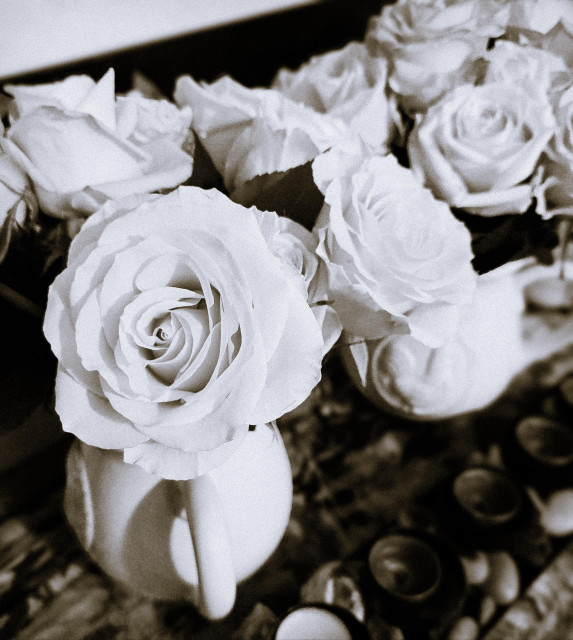 Black and white photo of pale roses arranged in ceramic pitchers on a table, with soft lighting and blurred candles in the background creating a quiet, intimate mood.
