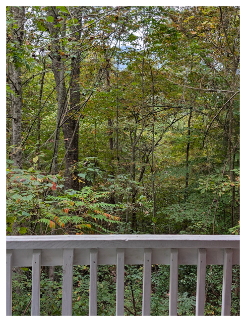 on the other side of a white porch rail, a forest in early Autumn with thick green foliage with some leaves turning. the top of a mountain ridge is barely visible in the distance.