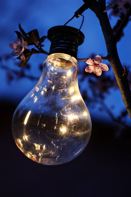 Close-up of a transparent, light bulb-shaped lantern hanging from the branch of a blood plum tree, illuminated from within by a string of warm, twinkling fairy lights. The bulb casts a soft glow against the deep blue of the evening sky. Delicate pink blossoms of the tree frame the lantern, adding a touch of natural beauty to the scene.