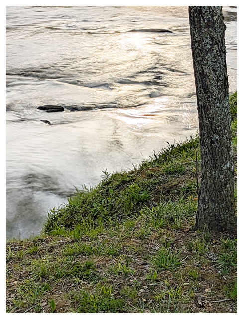 time exposure of a river running over rocks near a grassy bank with a mossy tree. clouds and the setting sun is reflected on the water.