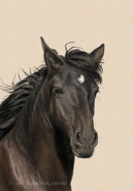 Digital colored pencil portrait of a black horse with a disheveled looking mane. The background is a plain, light-sepia colored paper surface.