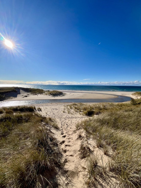 A serene beach scene featuring a sandy path leading through tall grass to the water. Lake Michigan is visible with gentle waves and a bright blue sky, accompanied by the sun shining brightly in the upper left corner.