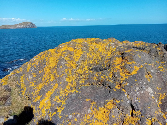 Yellow lichen splodged across a grey rock against deep blue sea and pale blue sky. There's an island on the horizon. In the foreground, a shadow, because what even is framing?