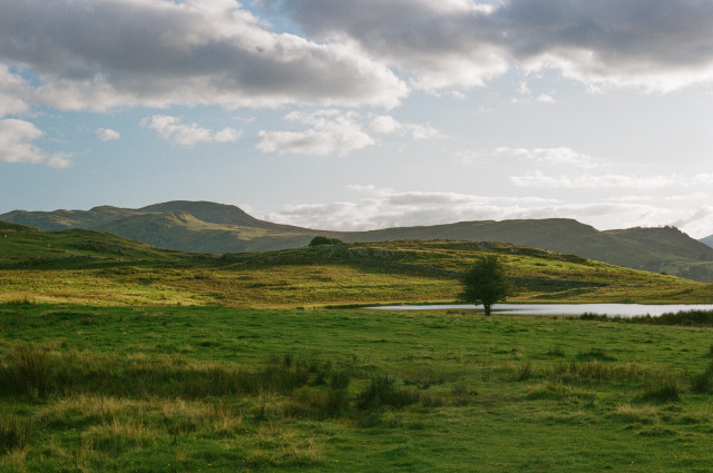 A green landscape under a blue sky, a small tarn on the right with a lone tree beside it, greater mountains in the distance.