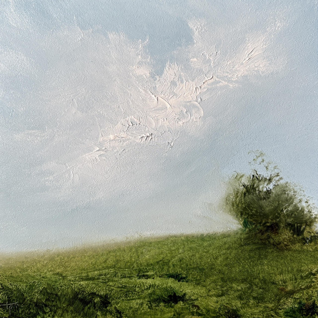 Original landscape oil painting by Tisha Mark, "Homeland No. 2601" oil on Ampersand Gessobord, 6"x6" (2026). A peaceful atmospheric landscape painting of a lush green gentle slope with a loosely painted tree at the right, underneath a soothing light blue sky with textured breezy white cloud formations.