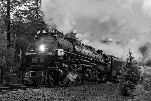 A black and white landscape photo of a very large steam engine. The train is on a tight curve going from the lower right toward the lower left of the frame. The view is from the inside part of the curve. The setting is in a conifer forest. The engine's headlight is on and a small lighted sign at the top of the boiler says, "X4014." A large bell is center front at the top of the boiler to the left of the small sign. A California State flag waves on the front left side of the cowcatcher. Very large plumes of steam and smoke are being emitted from the short smoke stack and cover the entire upper portion of the photo behind the front of the engine.