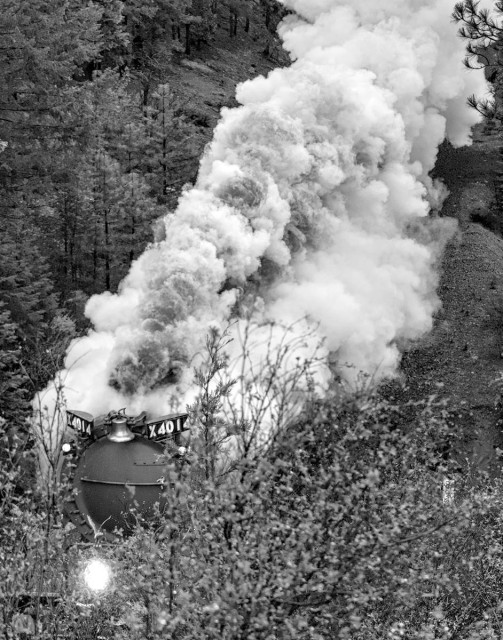 A black and white portrait photo of a large steam engine passing from the upper right to lower left below the photographer. Only the front of the engine is visible as it disappears behind a large bush between it and the photographer. The bell is in the center between signs on either side that say, "X4014." Two small lights are seen under the two signs. The large headlight is further down in the center and is partially obscured by the bush. Behind the visible front of the steam engine is a thick bank of steam and smoke coming from the smoke stack.