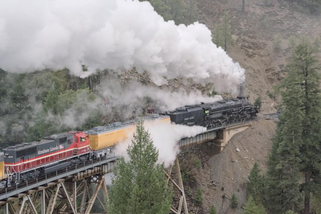 A color photo of a large steam train crossing over a trestle. It is moving away from the camera. The train emerges into the frame on the lower left and the engine is seen at center left. The steam engine is spouting large amounts of steam from the smoke stack in the front, the whistle at about the center of the engine, and from the lower left side. Behind the engine is a black tender and then two yellow cars that look like they might be rectangular tank cars. Behind them is a diesel-electric engine painted in red, white, and black. On the side it says, "Abraham Lincoln." Conifer trees are seen scattered throughout the photo.