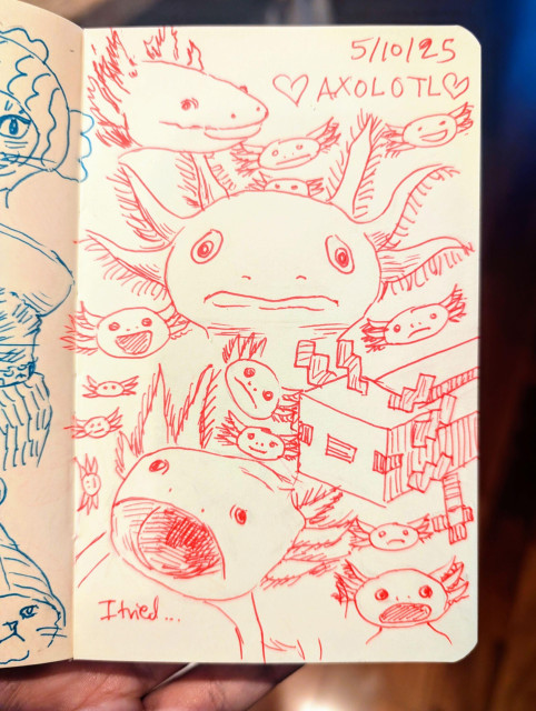 Sketchbook page with 16 axolotl drawings in pink pen. The date 5/10/25 is written on the top right. Scatter throughout are several small axolotl faces drawn with different expressions. The big drawings are as follows. Top left is one in profile. Middle is a large one facing forwards with a sad expression. Bottom right is a Minecraft axolotl. Bottom left is an axolotl with its mouth open wide and the words "I tried" written below it. The artist struggled with this drawing. 